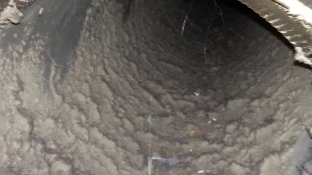 Slide of Golden Gate Ducts