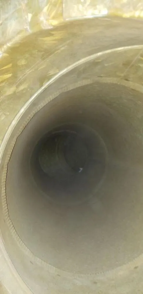 Slide of Golden Gate Ducts