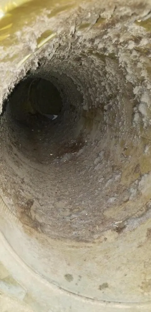 Slide of Golden Gate Ducts