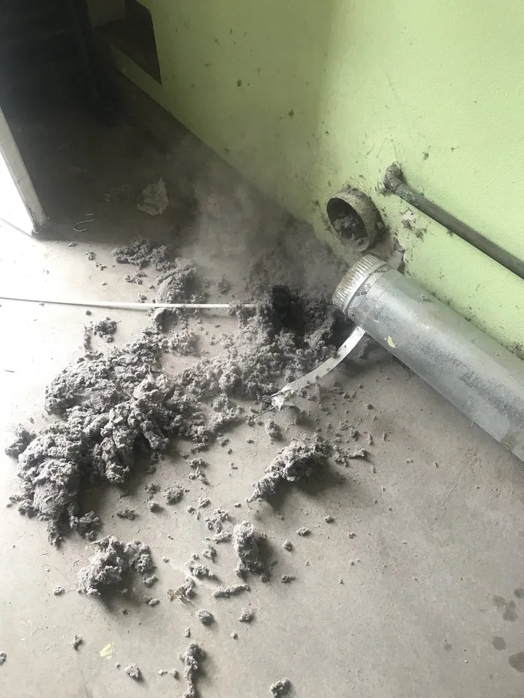 Slide of Golden Gate Ducts