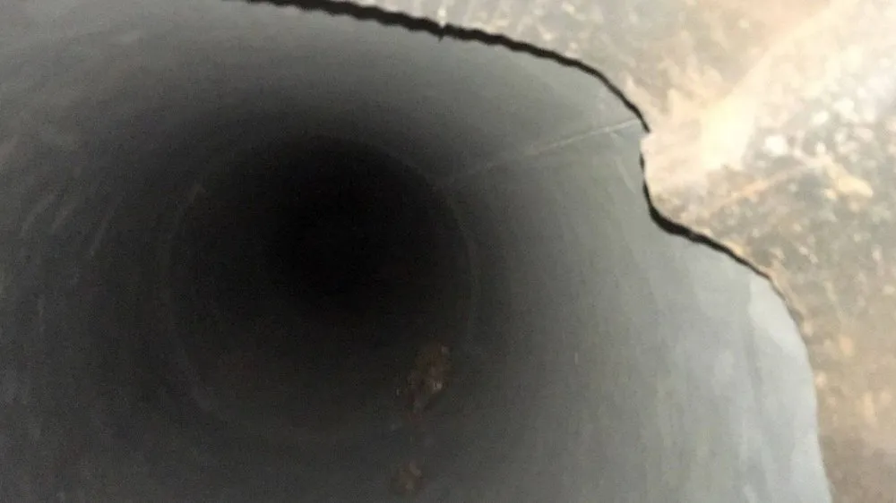 Slide of Golden Gate Ducts