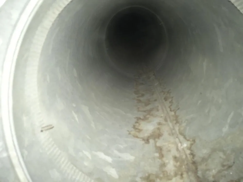 Slide of Golden Gate Ducts