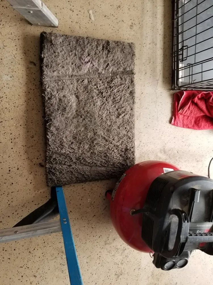 Slide of Golden Gate Ducts