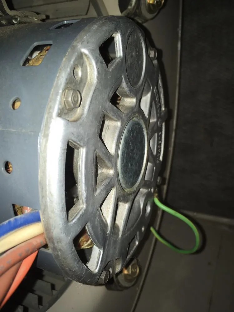 Slide of Golden Gate Ducts