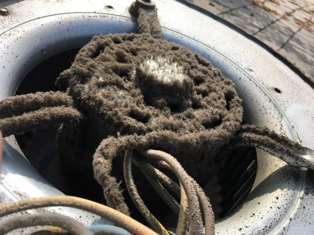 Slide of Golden Gate Ducts