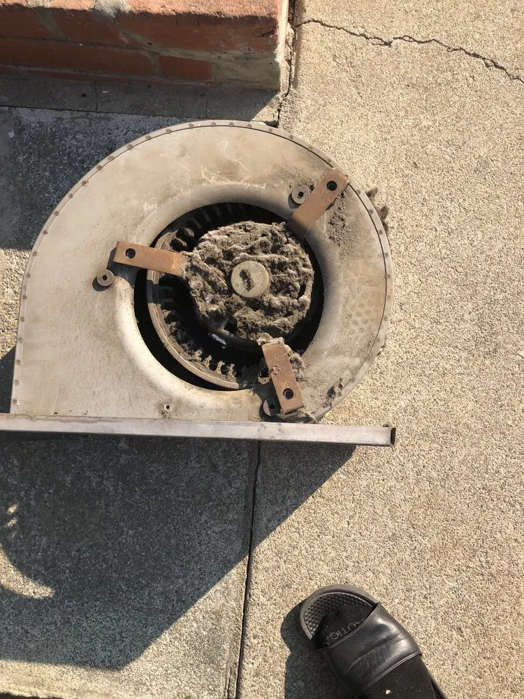 Slide of Golden Gate Ducts