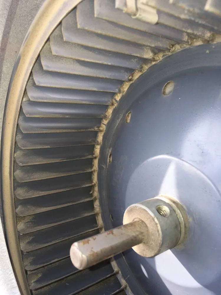 Slide of Golden Gate Ducts