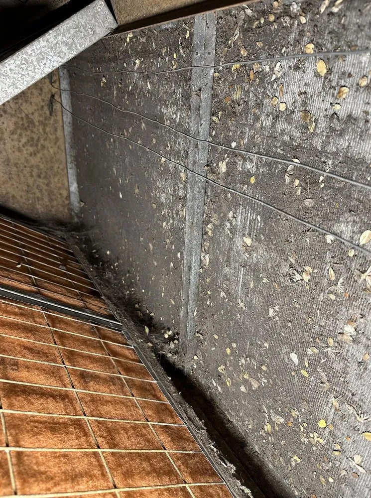 Slide of Goldenrod AC & Heating