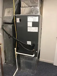 Slide of Gonzalez Ac