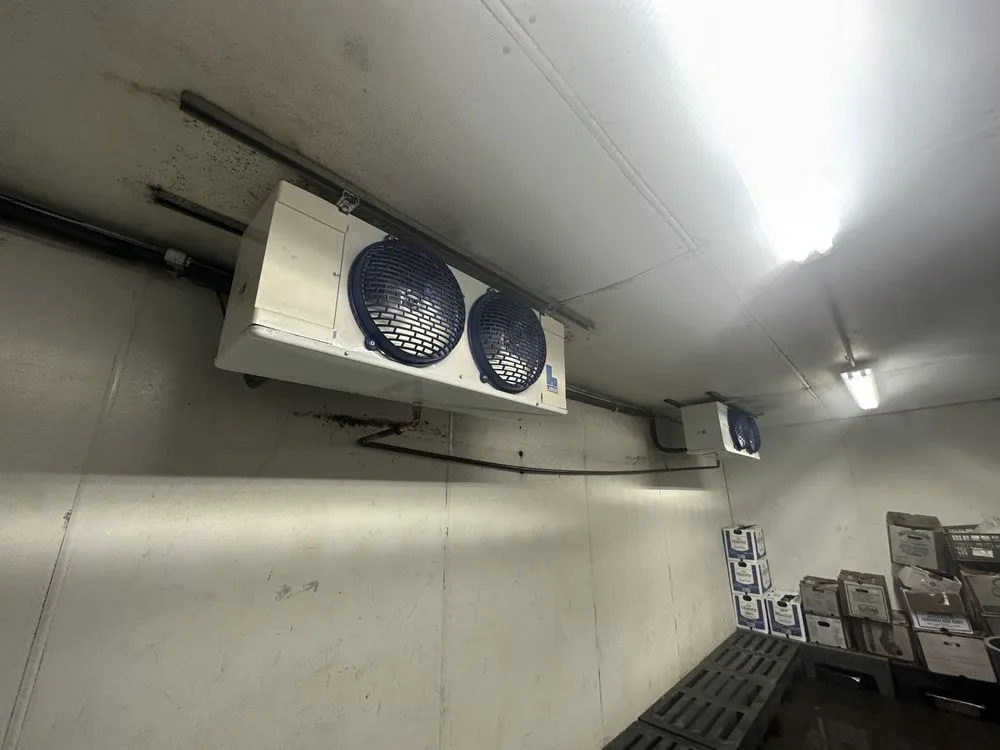 Slide of Gonzalez Cooling