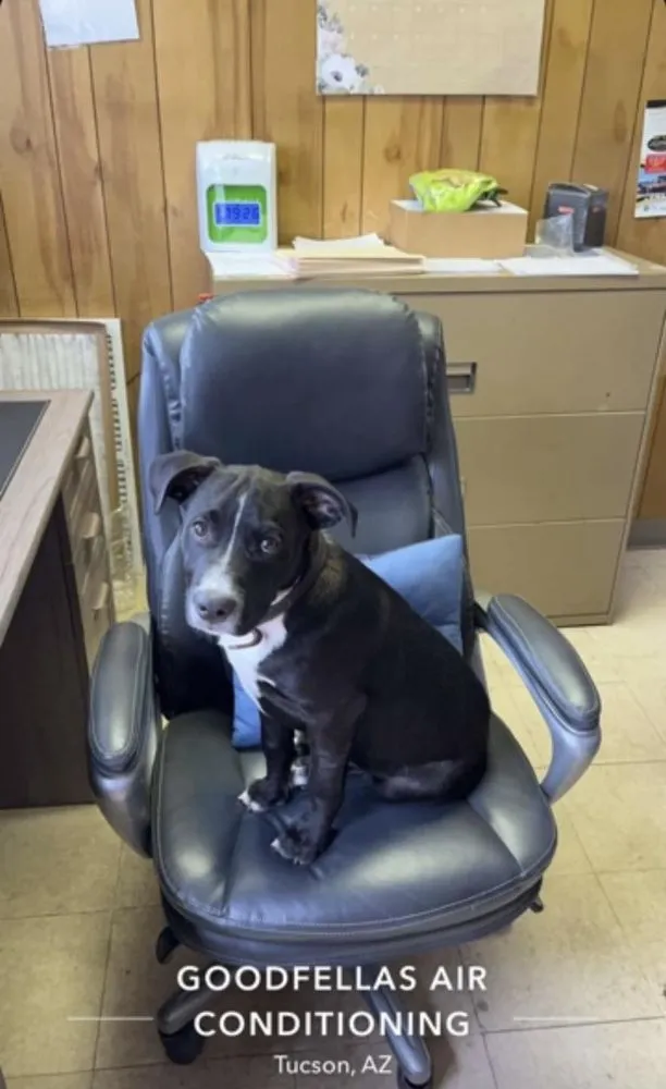 Slide of GoodFellas Air Conditioning & Plumbing