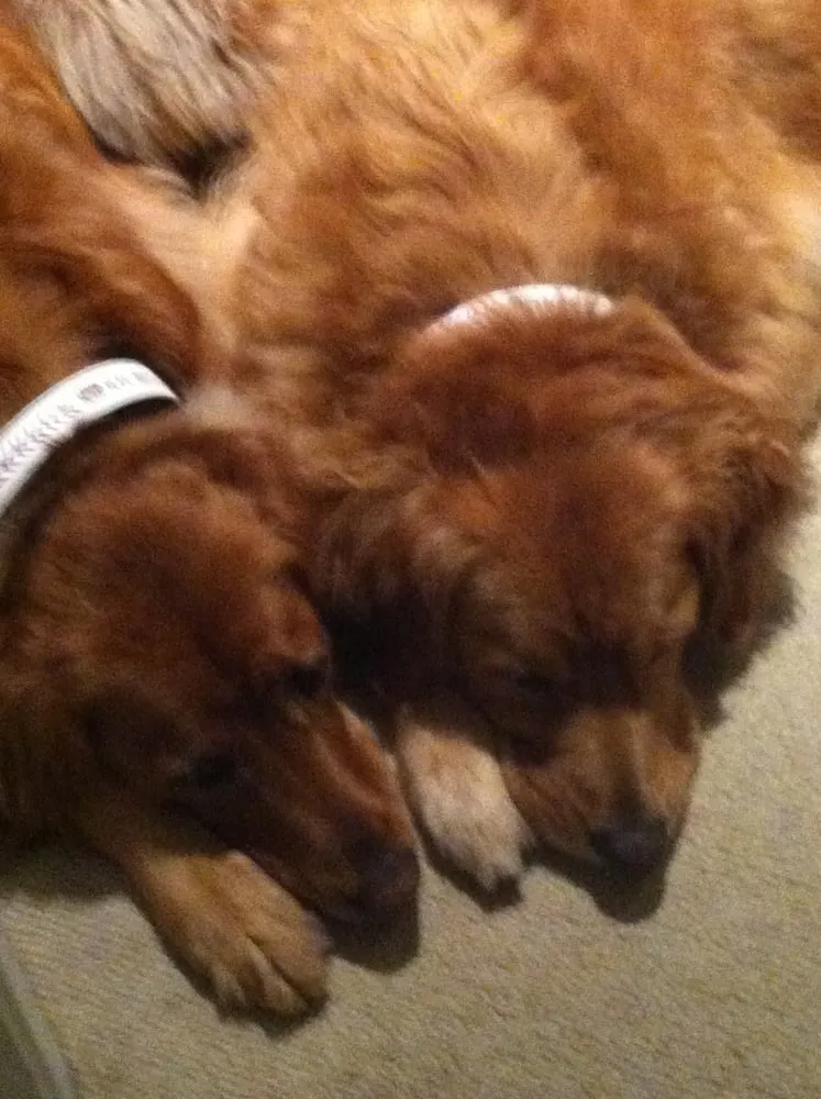 Slide of Grant Mechanical, Inc