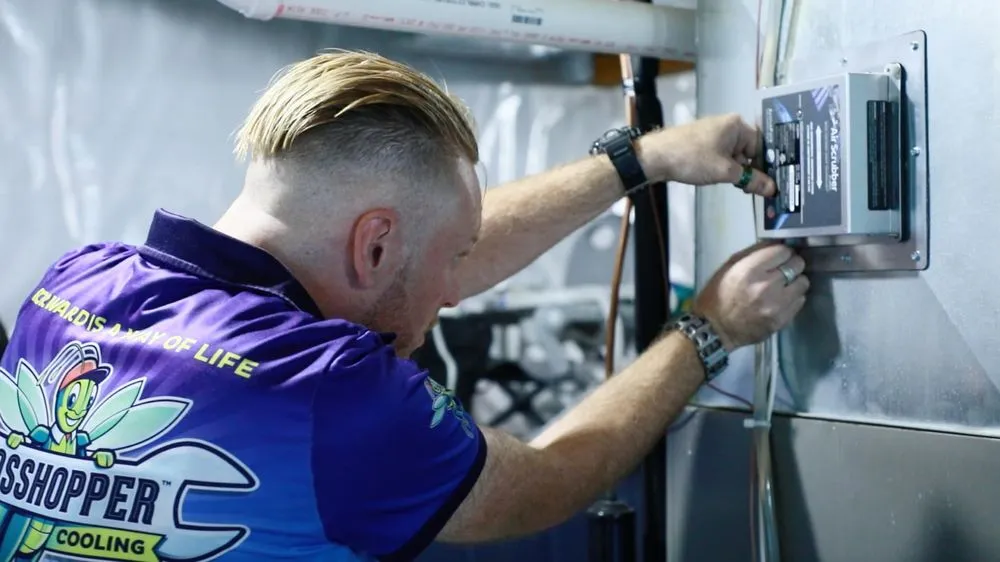 Slide of Grasshopper Heating and Cooling