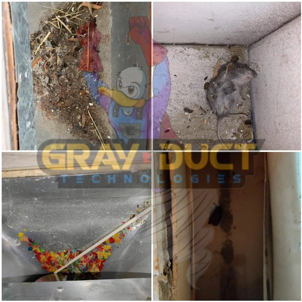 Slide of Gray Duct Technologies