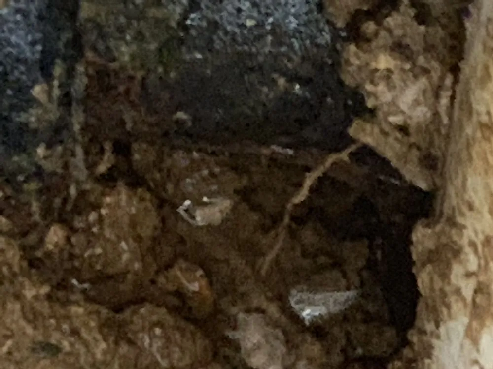 Slide of Gray’s Home Improvement and Repair