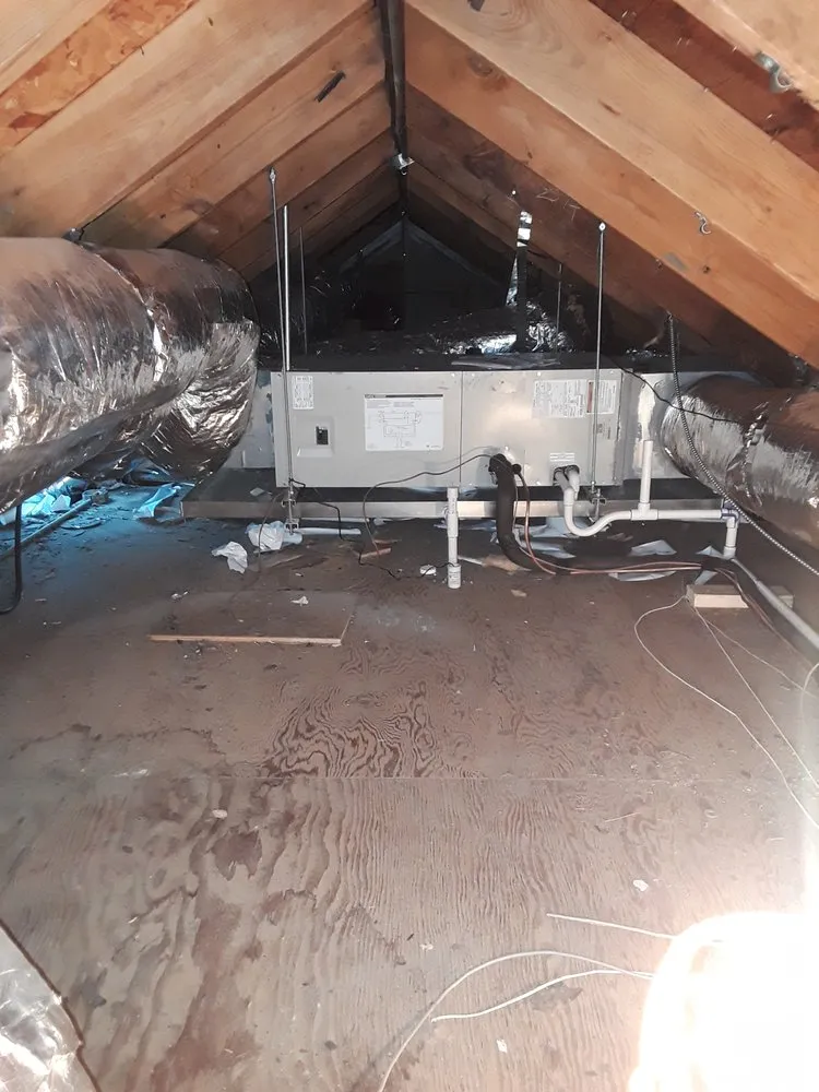 Slide of Gray's Mechanical