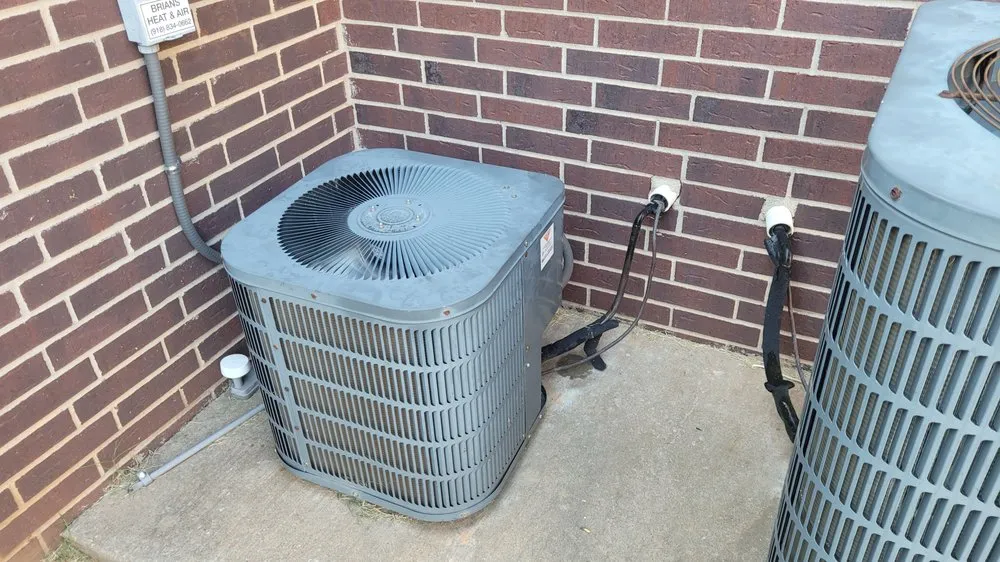 Slide of Gray's Mechanical