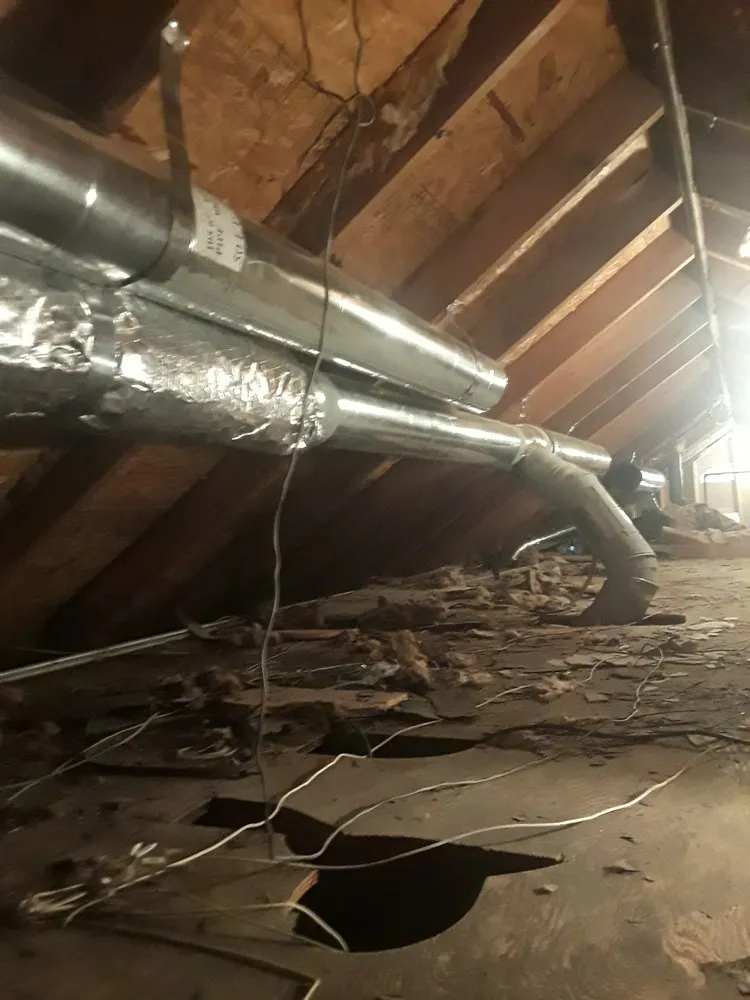 Slide of Gray's Mechanical