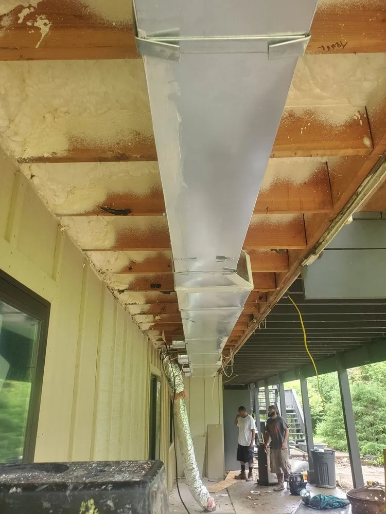 Slide of Gray's Mechanical