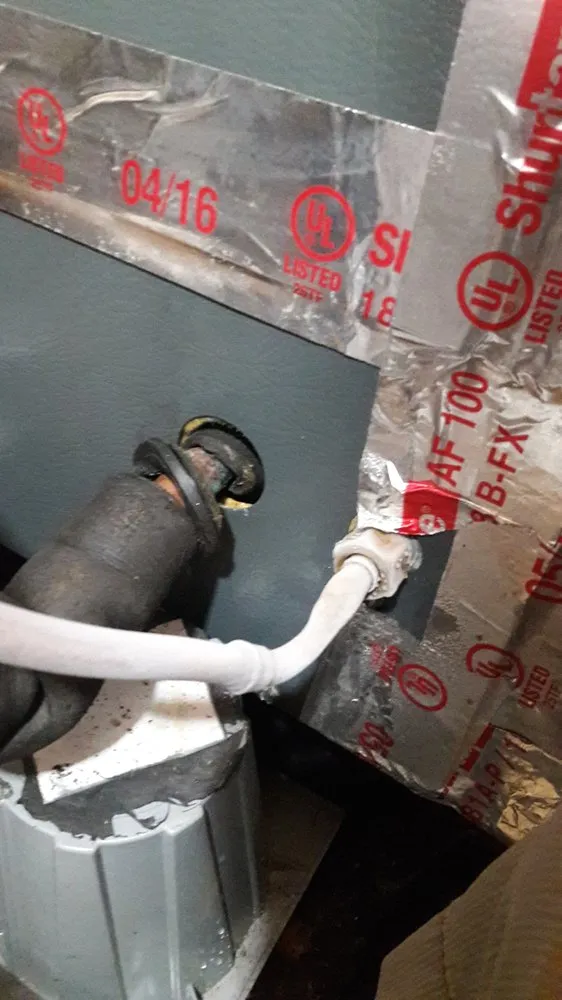 Slide of Gray's Mechanical