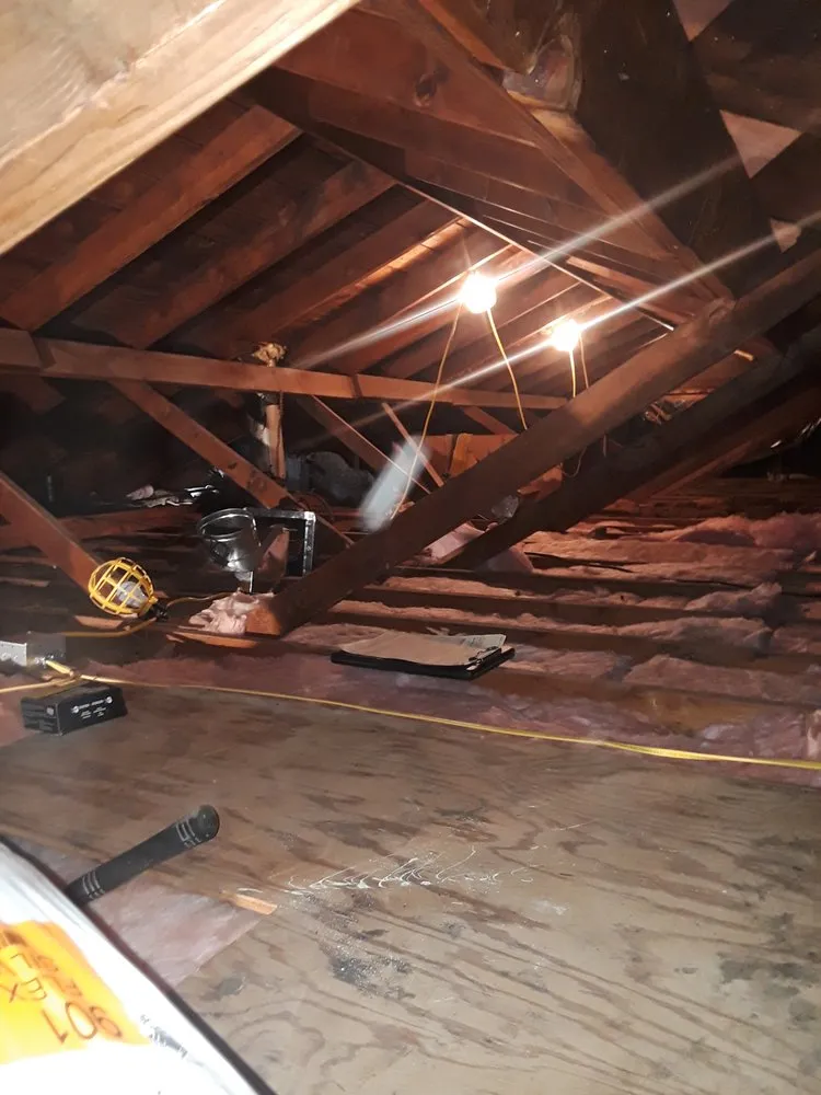 Slide of Gray's Mechanical