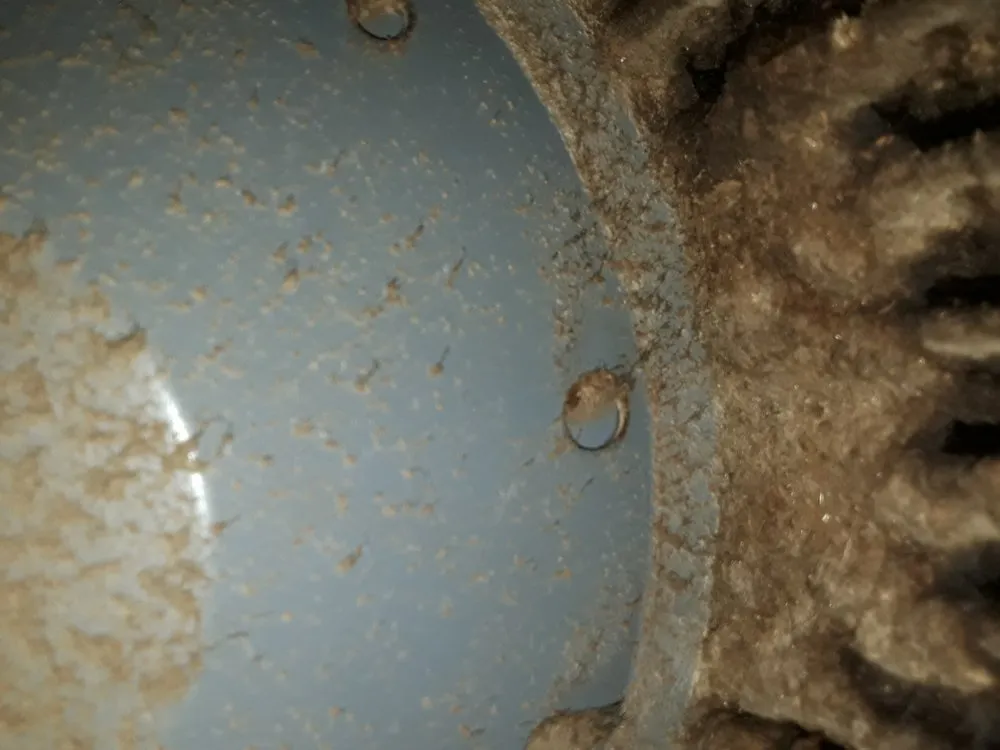 Slide of Gray's Mechanical