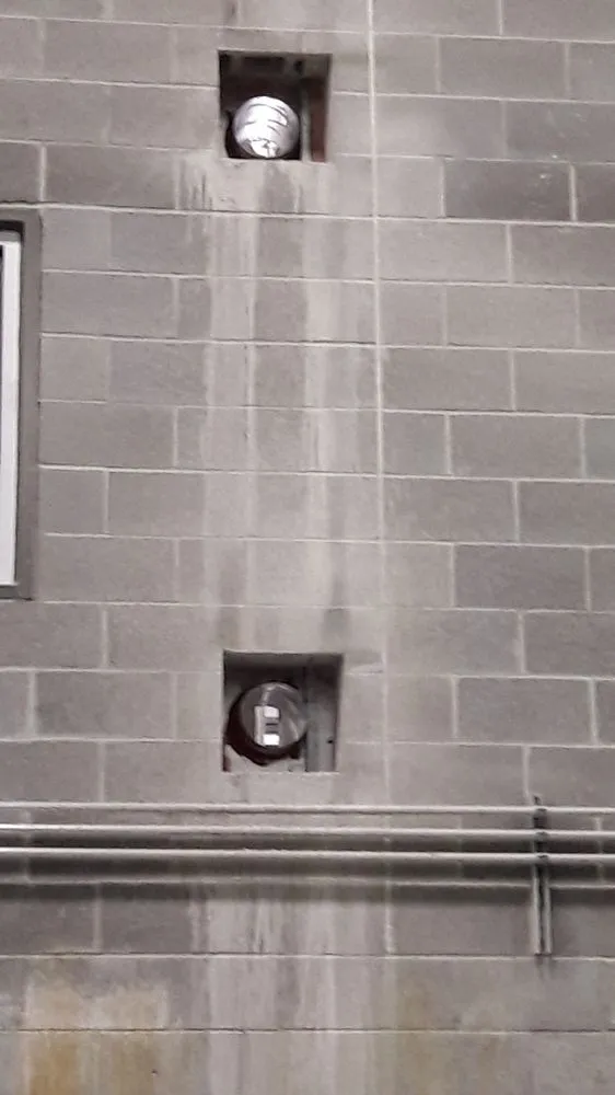 Slide of Gray's Mechanical