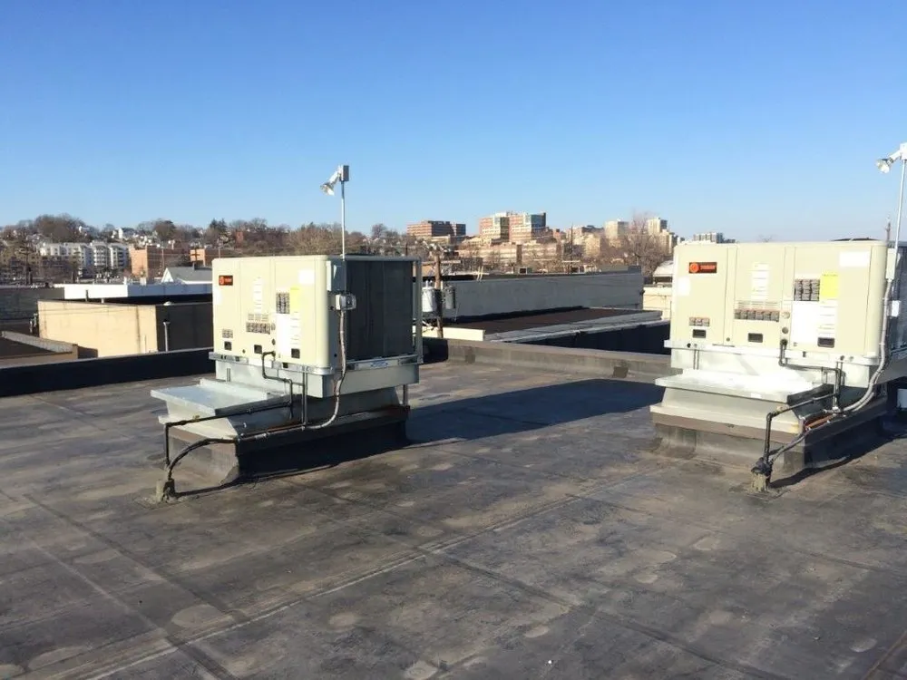 Slide of Great White Mechanical