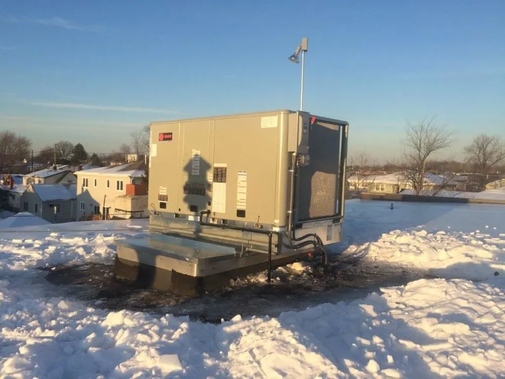 Slide of Great White Mechanical