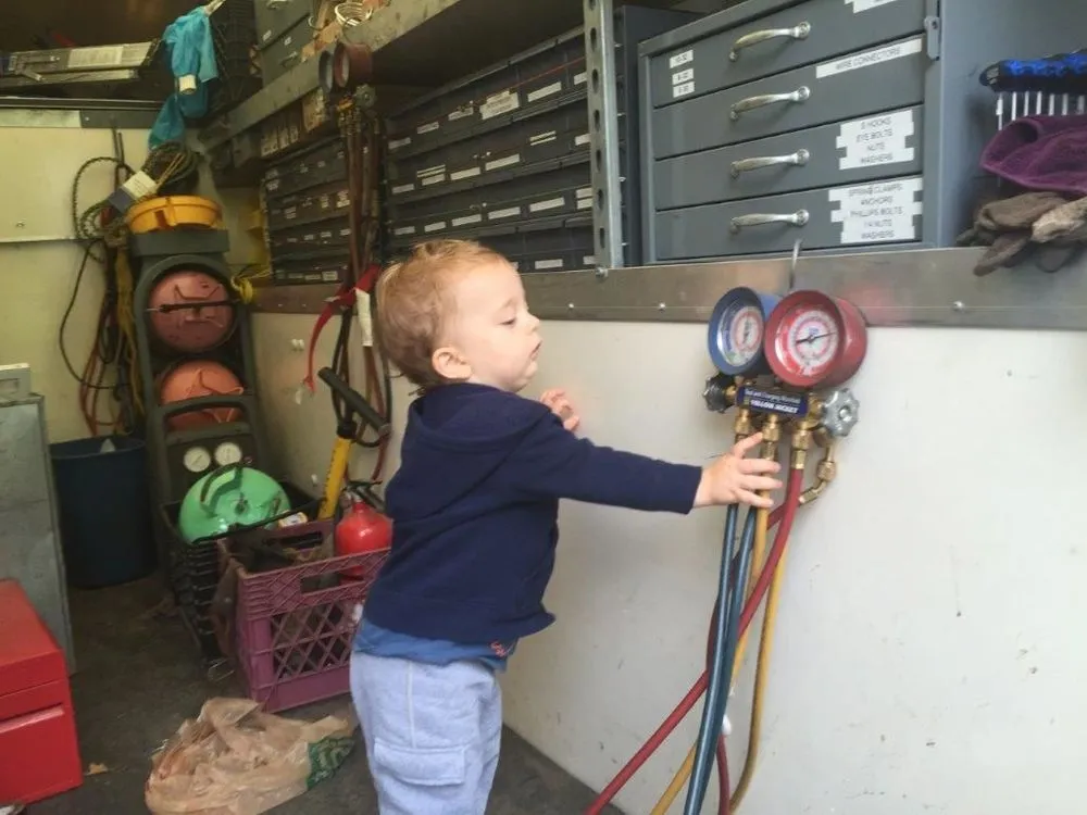 Slide of Great White Mechanical