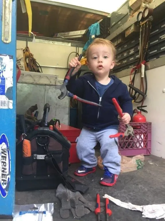 Slide of Great White Mechanical