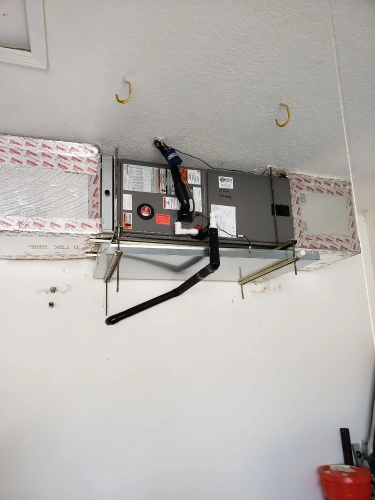 Slide of Great White Mechanical