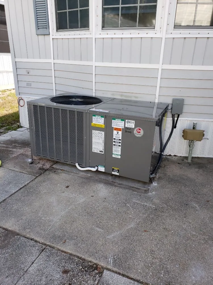 Slide of Great White Mechanical