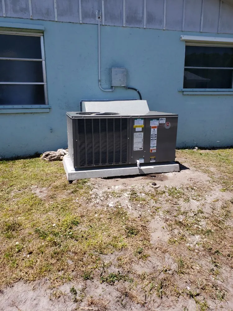 Slide of Great White Mechanical