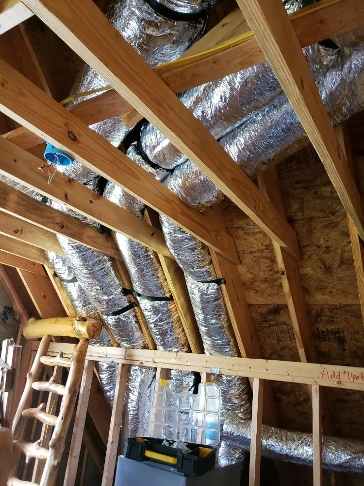 Slide of Great White Mechanical