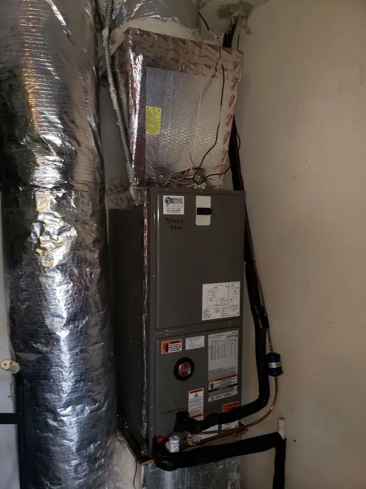 Slide of Great White Mechanical