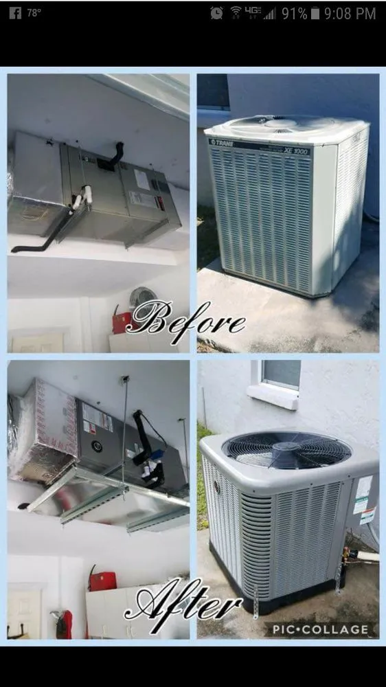 Slide of Great White Mechanical