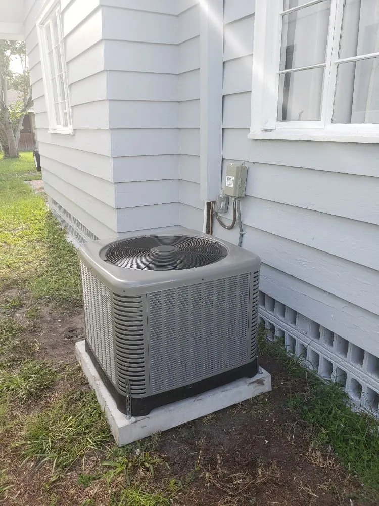 Slide of Great White Mechanical