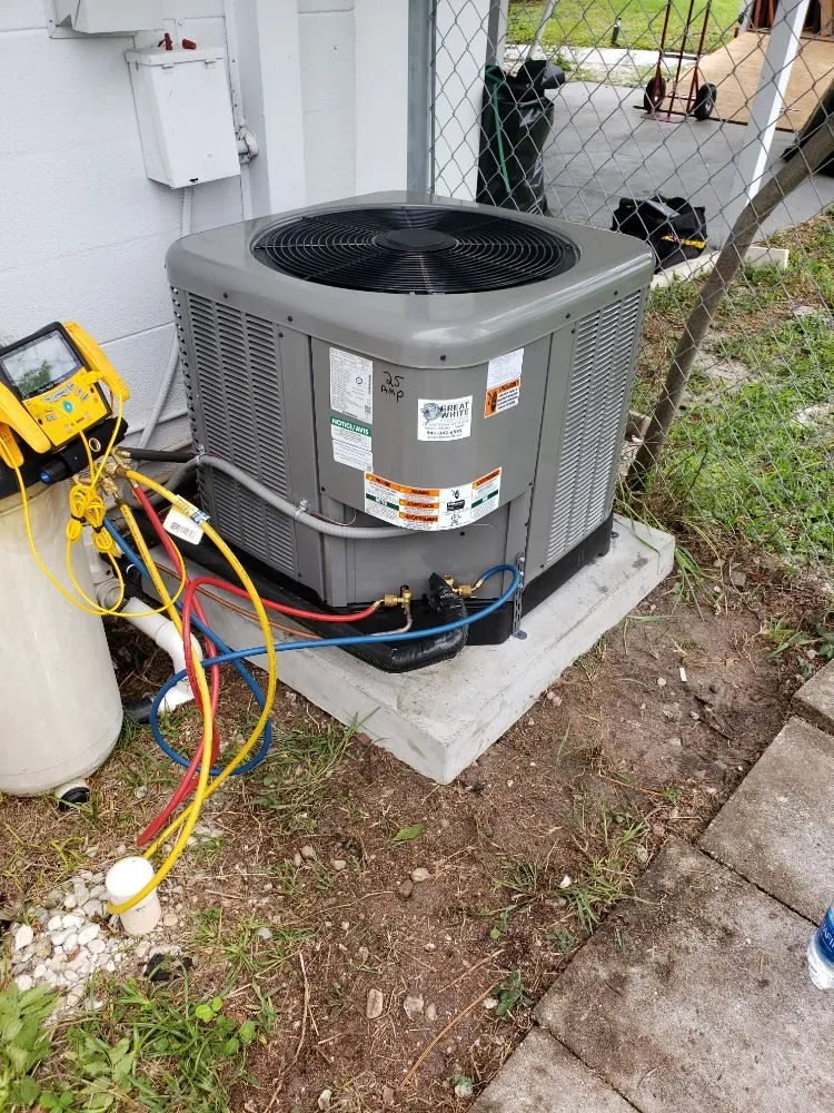 Slide of Great White Mechanical