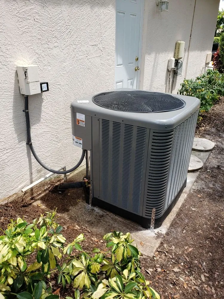 Slide of Great White Mechanical