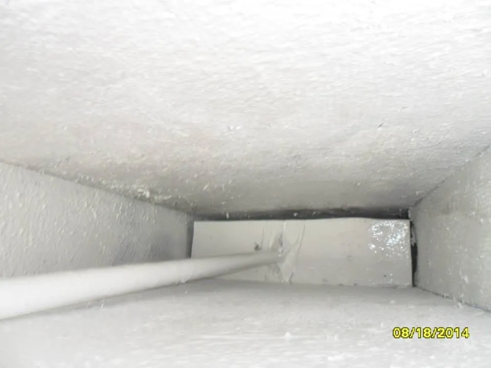 Slide of Greater Florida Ducts