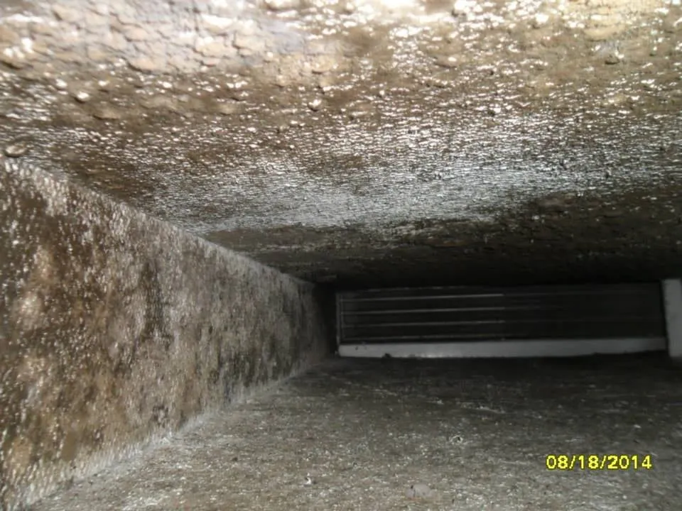 Slide of Greater Florida Ducts