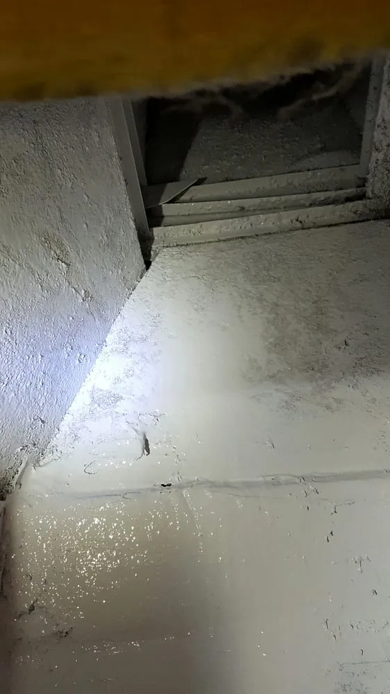 Slide of Greater Florida Ducts