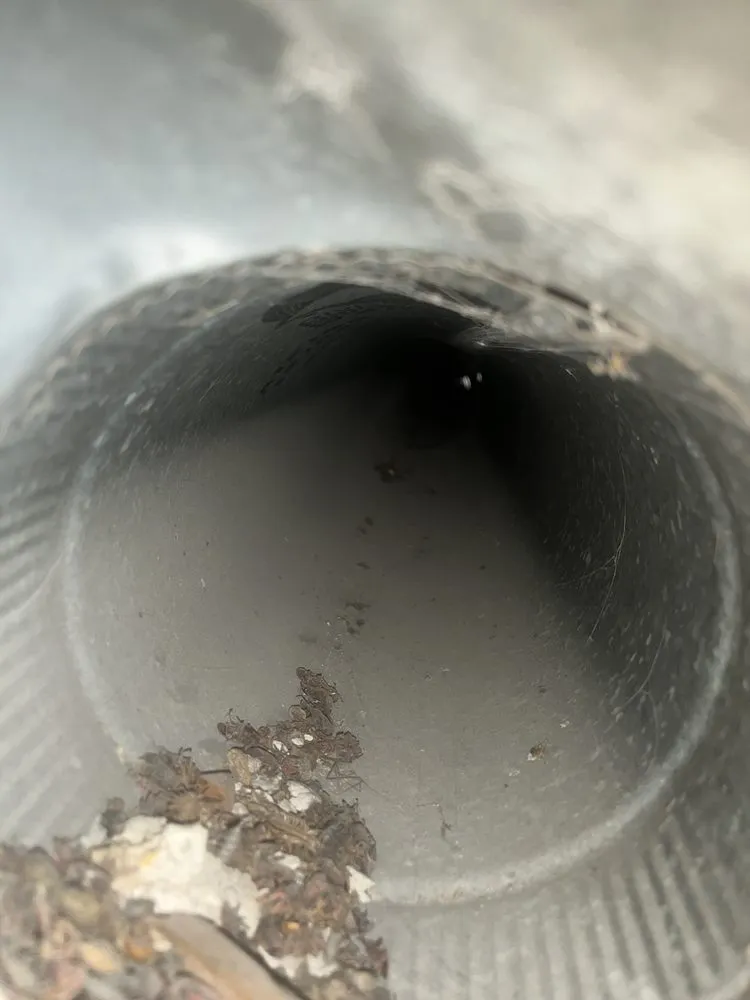 Slide of Green Air Care