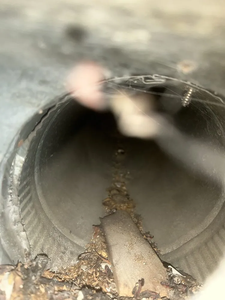 Slide of Green Air Care