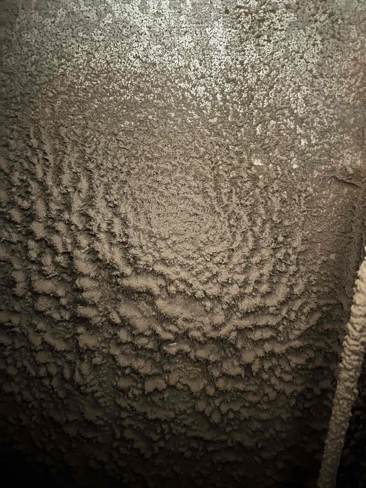 Slide of Green Air Care