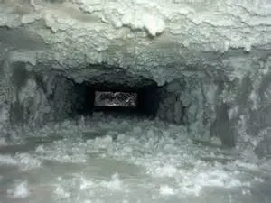 Slide of Green Air Care