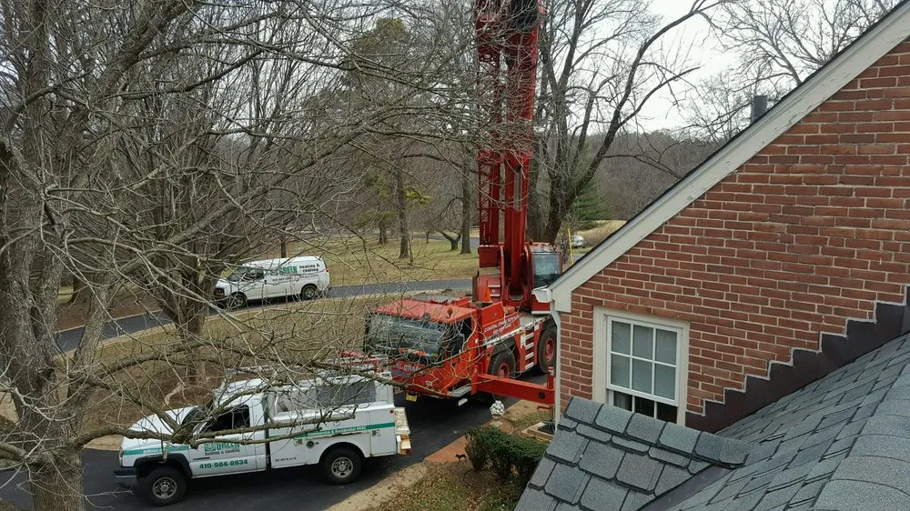 Slide of Green and Sons