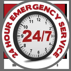 Slide of Green Apple Mechanical