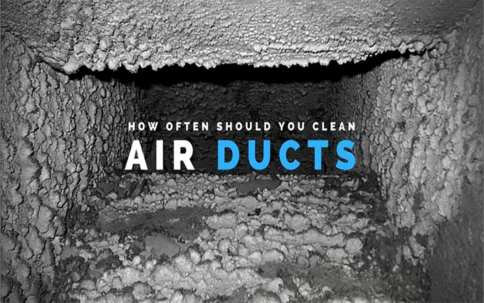 Slide of Green Bee Air